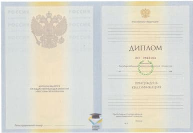 Диплом РГПУ им. А. И. Герцена 2010-2011 годов